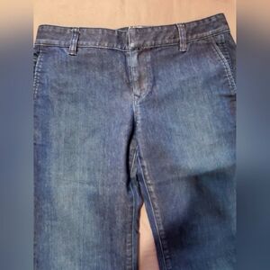 Blue Denim, Loft Designer Flare Jeans